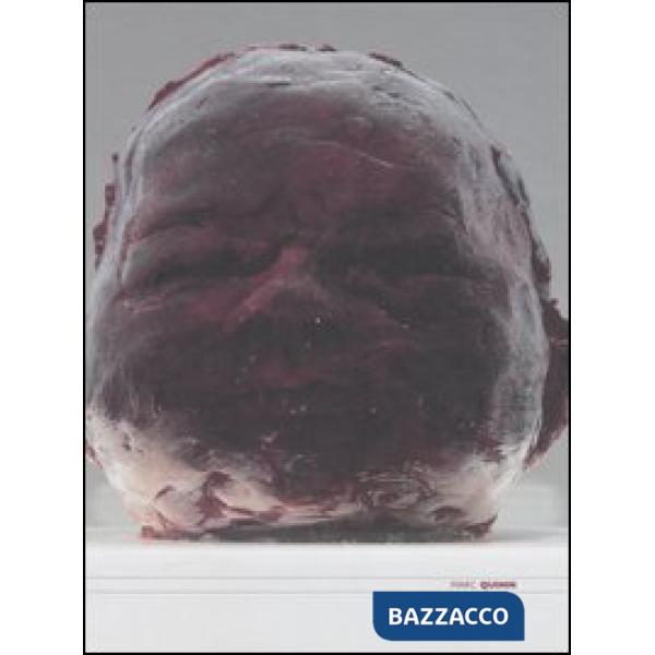 Marc Quinn. Catalogo della mostra (Roma, 22 giugno-30 settembre 2006). Ediz. italiana e inglese