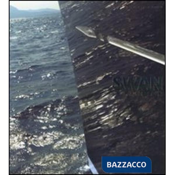 Swan is passion. Ediz. italiana