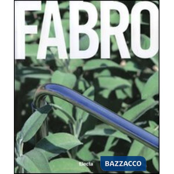 Luciano Fabro. Catalogo della mostra (Napoli, 21 ottobre 2007-7 gennaio 2008). E