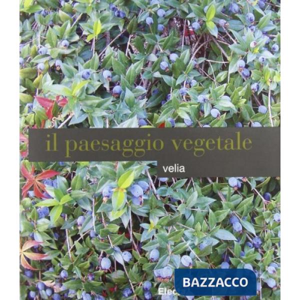 Velia: paesaggio vegetale