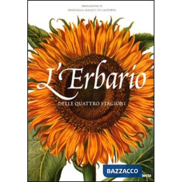 Erbario delle quattro stagioni. Ediz. illustrata (L')