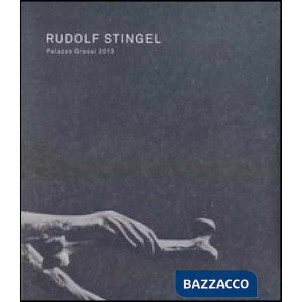 Rudolf Stingel. Palazzo Grassi 2013. Ediz. italiana, inglese e francese