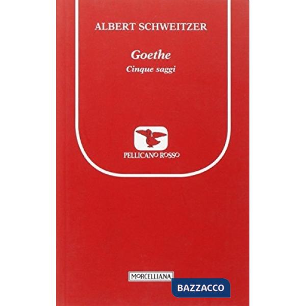 Goethe. Cinque saggi