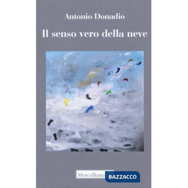 Senso vero della neve (Il)