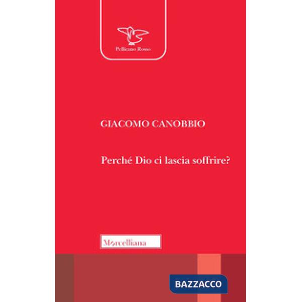 Perché Dio ci lascia soffrire?