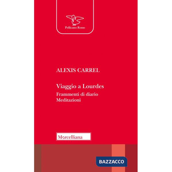Viaggio a Lourdes. Frammenti di diario. Meditazioni. Nuova ediz.