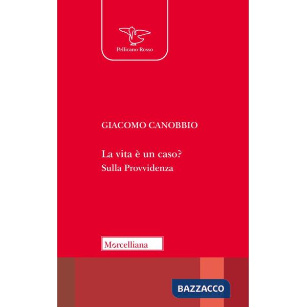 Vita è un caso? Sulla Provvidenza (La)