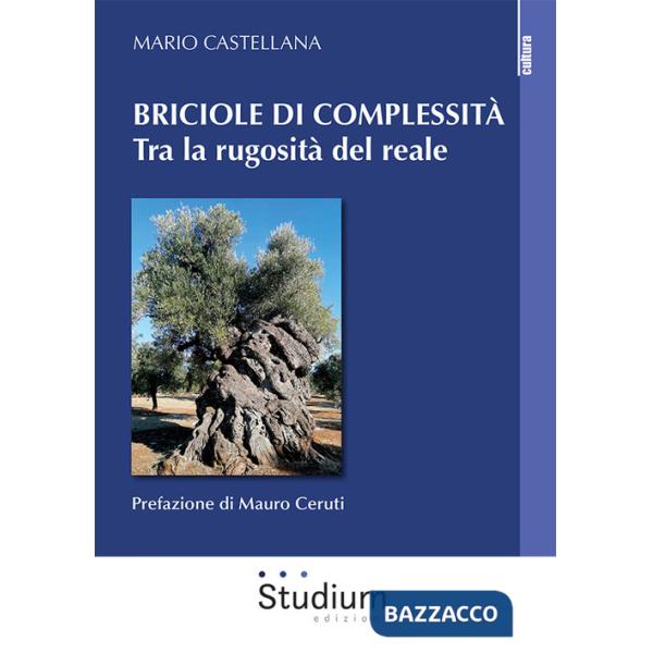 Briciole di complessità. Tra la rugosità del reale