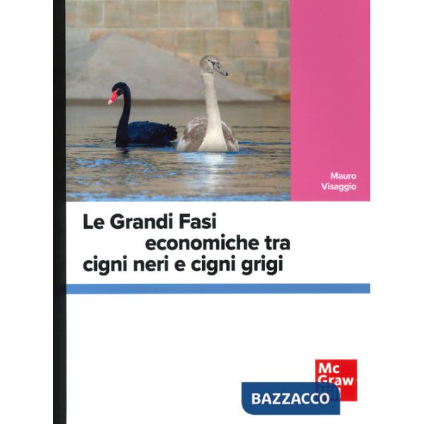 Grandi fasi economiche tra cigni neri e cigni grigi (Le)