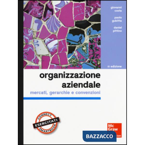 Organizzazione aziendale. Mercati, gerarchie e convenzioni. Con aggiornamento online