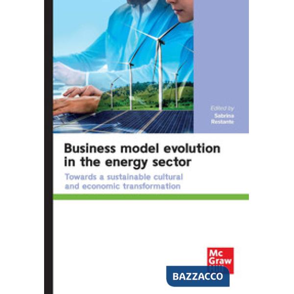 Business model evolution in the energy sector
