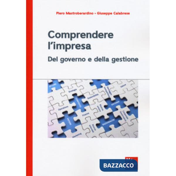 Comprendere l'impresa. Del governo e della gestione
