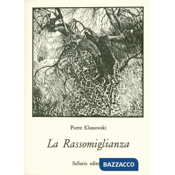 Rassomiglianza (La)