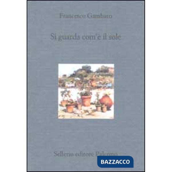 Si guarda com'è il sole