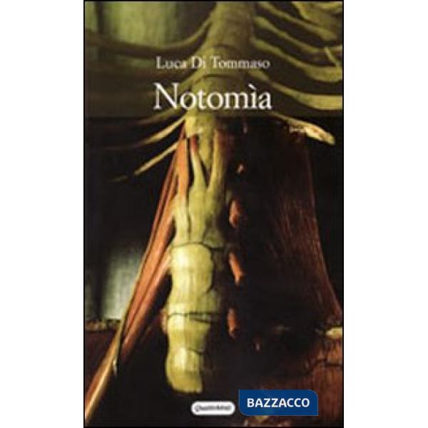 Notomìa