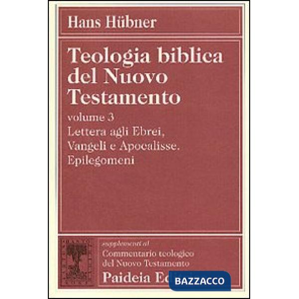 Teologia biblica del Nuovo Testamento. Vol. 3: Lettera agli ebrei, vangeli e Apocalisse. Epilegomeni
