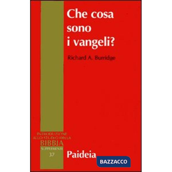 Che cosa sono i vangeli?