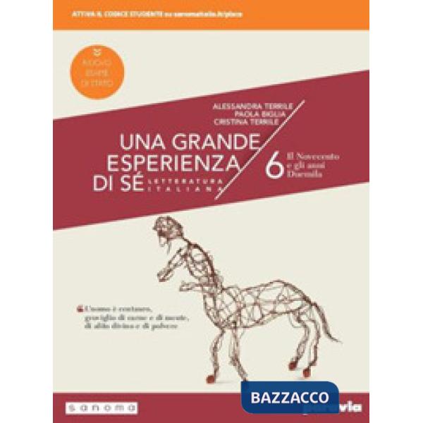 UNA GRANDE ESPERIENZA DI SE 6 ED. NUOVO ESAME STATO