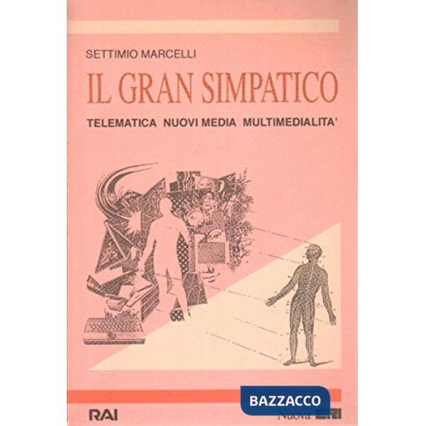 Gran simpatico. Telematica, nuovi media, multimedialità (Il)
