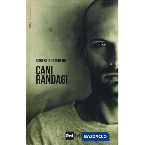 Cani randagi