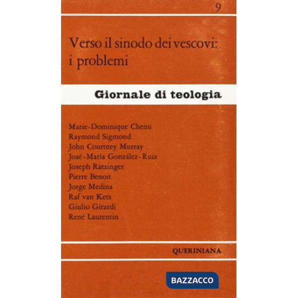 Verso il sinodo dei vescovi: i problemi
