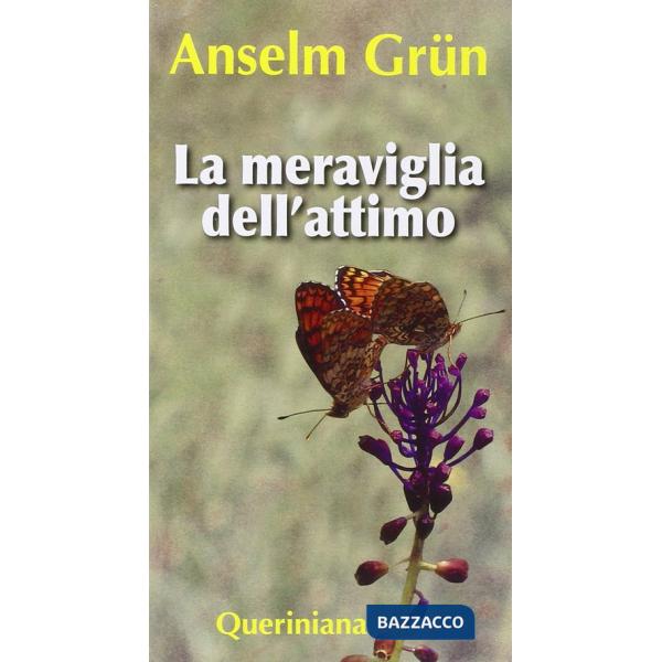 Meraviglia dell'attimo (La)