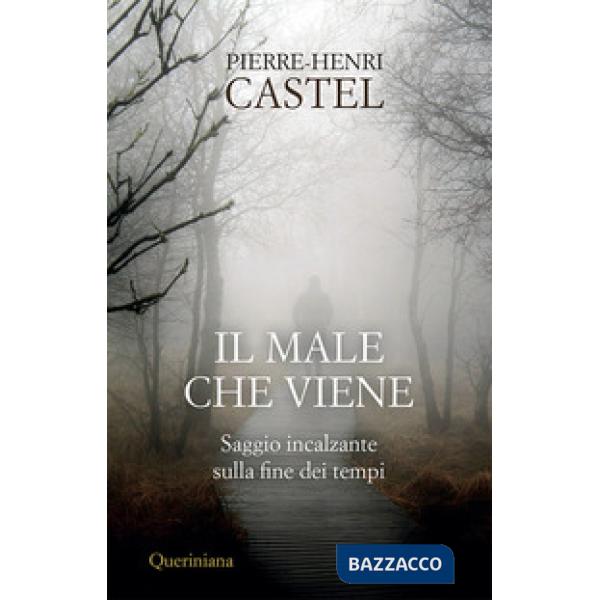 Male che viene. Saggio incalzante sulla fine dei tempi (Il)