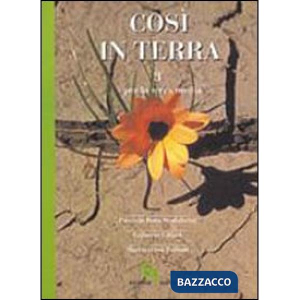 Così in terra. Per la Scuola media. Vol. 3