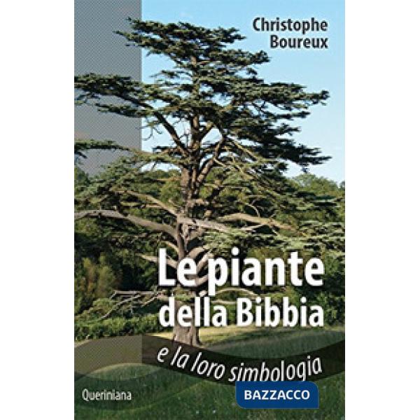 Piante della Bibbia e la loro simbologia