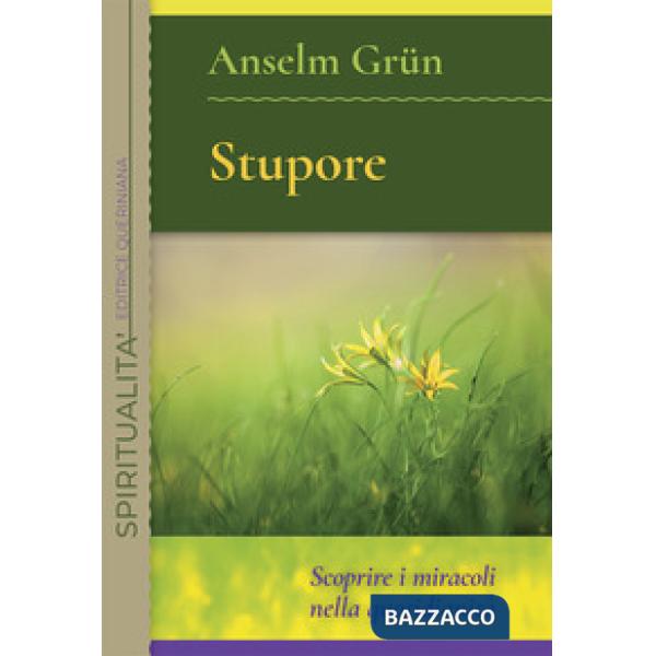 Stupore. Scoprire i miracoli nella quotidianità. Nuova ediz.