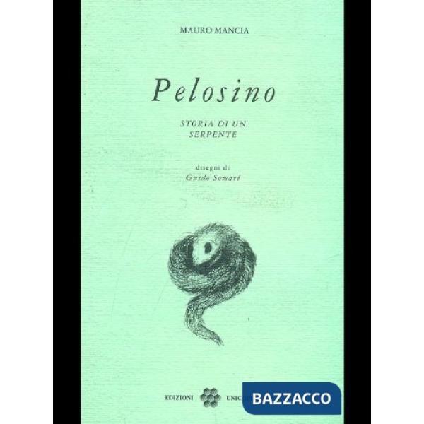 Pelosino