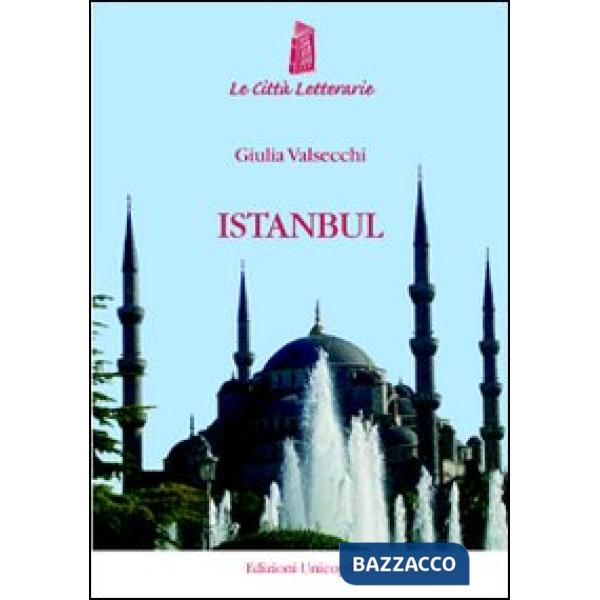 Istanbul. Dalla finestra di Pamuk