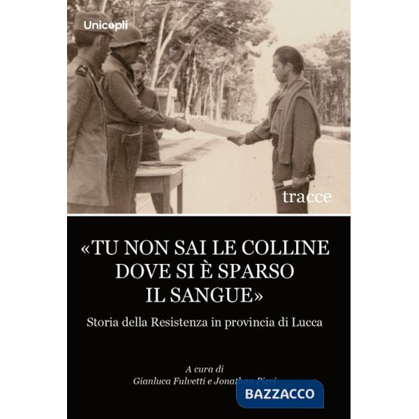 «Tu non sai le colline dove si è sparso il sangue». Storia della Resistenza in provincia di Lucca