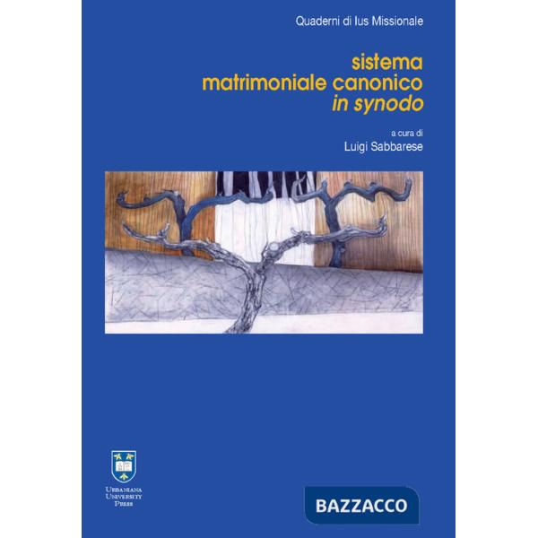 Sistema matrimoniale canonico in synodo