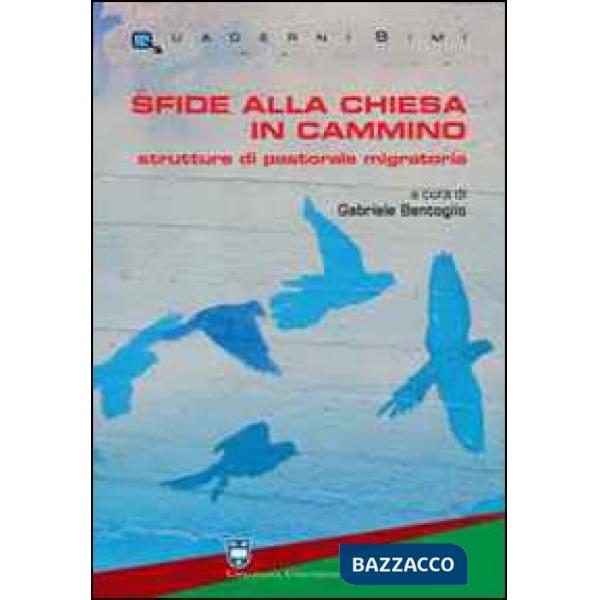Sfide alla chiesa in cammino. Strutture di pastorale migratoria