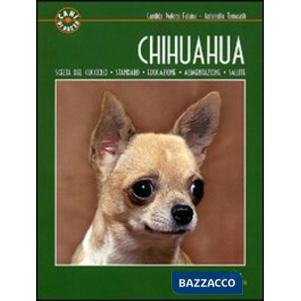 Chihuahua