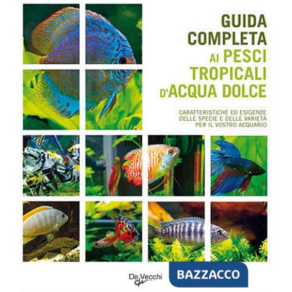 Guida completa ai pesci tropicali d'acqua dolce
