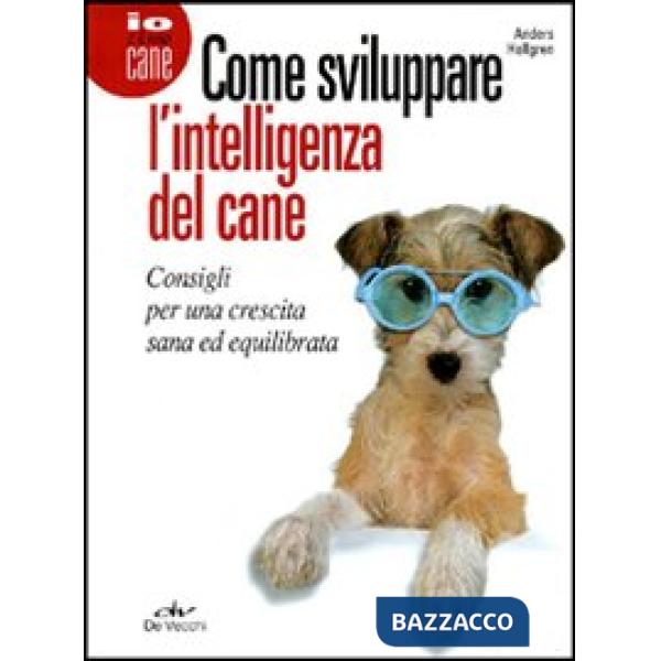 Come sviluppare l'intelligenza del cane. Consigli per una crescita sana ed equilibrata