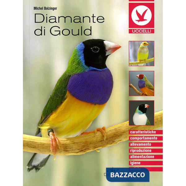 Diamante di gould