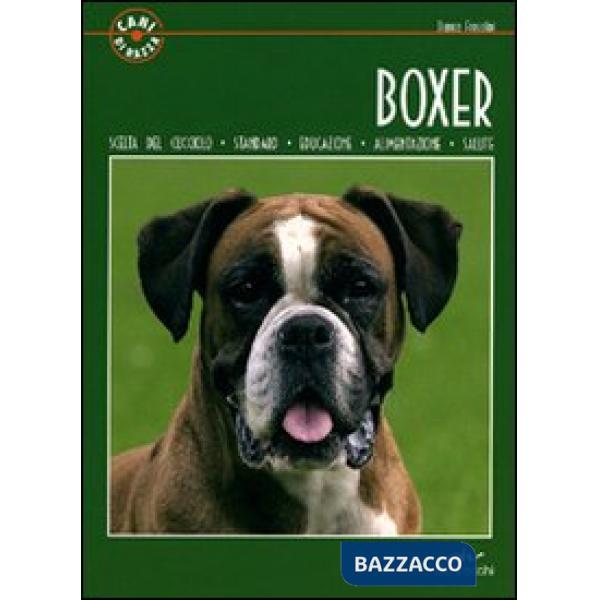 Boxer