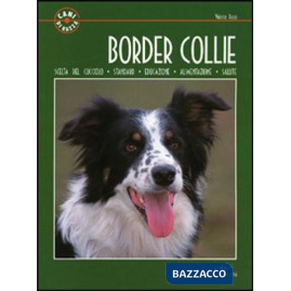 Border collie
