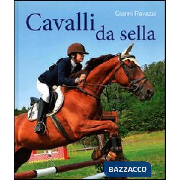 Cavalli da sella