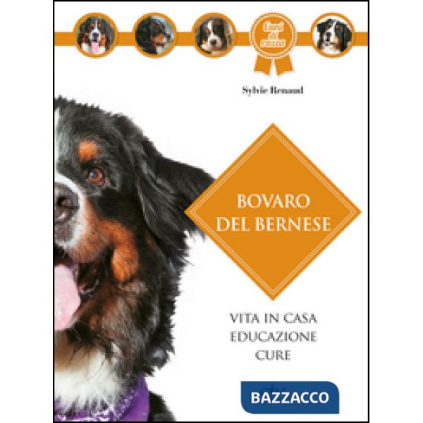 Bovaro bernese