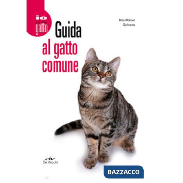 Guida al gatto comune