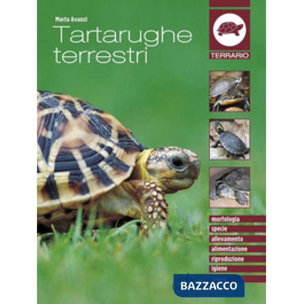 Tartarughe terrestri