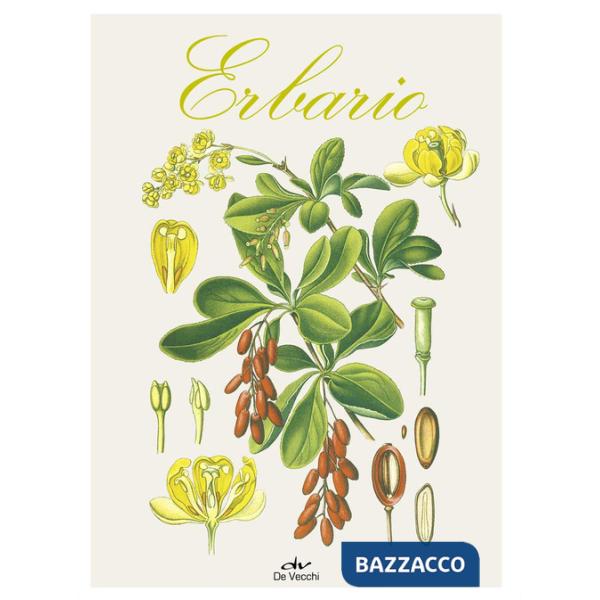 Erbario. Ediz. a colori