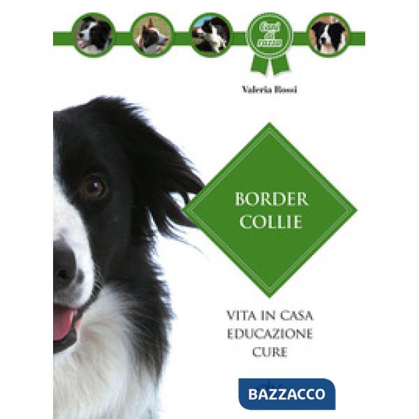 Border collie