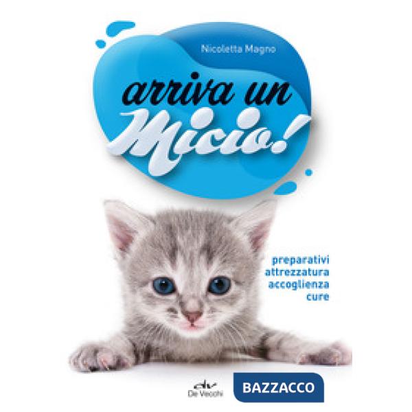 Arriva un micio! Preparativi, attrezzatura, accoglienza, cure