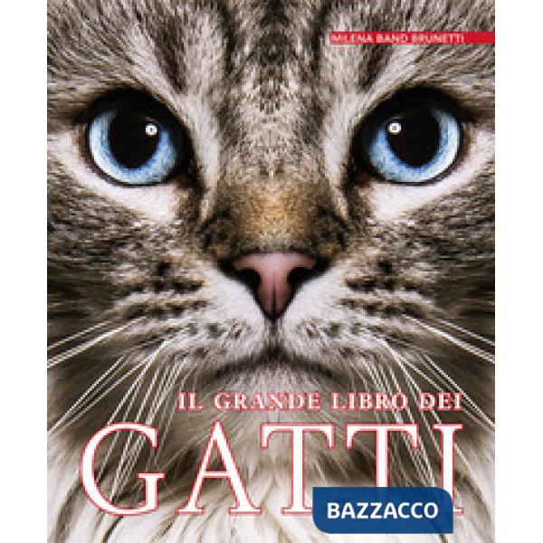 Grande libro dei gatti (Il)