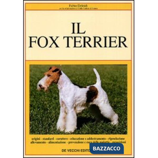 Fox terrier (Il)